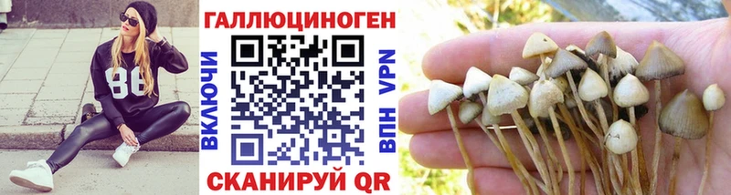 Галлюциногенные грибы прущие грибы  Ува 